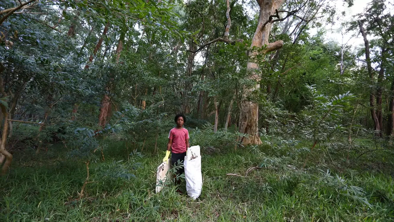 Among the trees at The Green Village